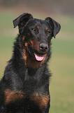 BEAUCERON 1003